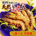 【ふるさと納税】紀州和歌山産天然足赤えび 選べる内容量 化粧箱入 ※2025年11月末頃~2026年1月下旬頃に順次発送予定