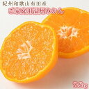 【ふるさと納税】〈定期便〉【1・2・3月 全3回】紀州和歌山産旬の柑橘セット(みかん・不知火・清見) ※離島への配送不可