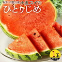 【ふるさと納税】〈定期便〉【6・8・10・12月 全4回】和歌山産 旬のフルーツ お楽しみ 定期便 【魚鶴】◇