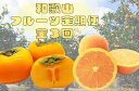 【ふるさと納税】〈定期便〉【10・11・12月 全3回】和歌山人気のフルーツ定期便(柿・みかん)【魚鶴厳選】