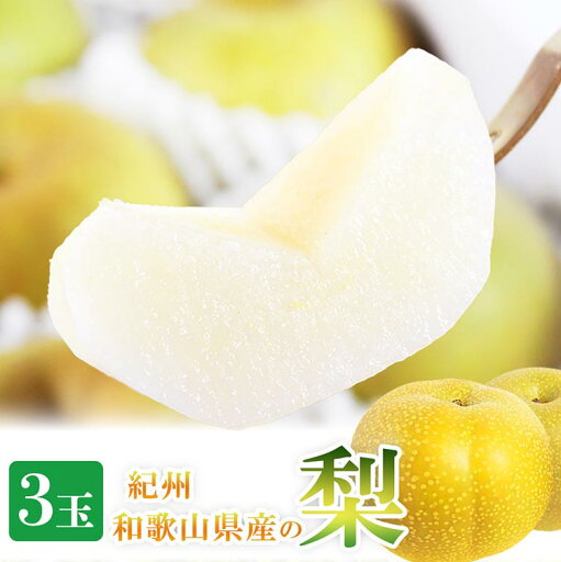 【ふるさと納税】紀州和歌山産の梨 3玉 化粧箱入◇ ※離島への配送不可 ※2025年8月下旬頃〜9月上旬頃に順次発送予定 【ふるさと納税】紀州和歌山産の梨 3玉 化粧箱入◇ ※離島への配送不可 ※2025年8月下旬頃〜9月上旬頃に順次発送予定