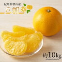 【ふるさと納税】紀州和歌山産八朔(はっさく)約10kg◇ ※2026年2月上旬〜2月下旬頃に順次発送予定