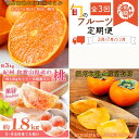 【ふるさと納税】〈定期便〉【3・7・11月 全3回】紀州和歌山産旬のフルーツセット(せとか・桃・富有柿) ※離島への配送不可