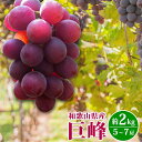 【ふるさと納税】紀州和歌山産の巨峰ぶどう約2kg ※2025年8月下旬頃〜9月上旬頃に順次発送予定