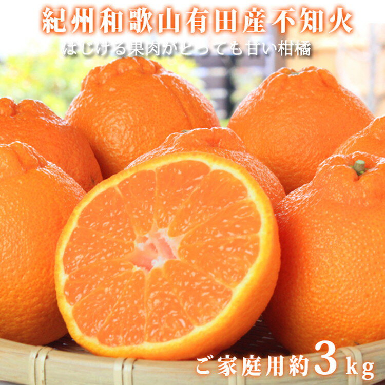 [ご家庭用訳有り]紀州有田産不知火(しらぬひ)約3kg ※2026年2月中旬〜3月中旬頃に順次発送予定