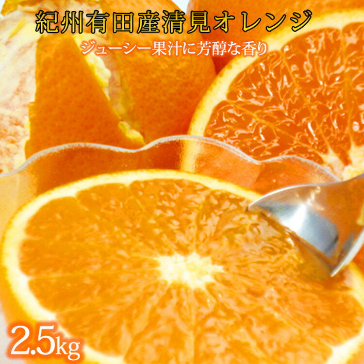 【ふるさと納税】とにかくジューシー清見オレンジ　2.5kg※2026年3月下旬頃〜2026年4月中旬頃に順次発送予定