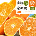 【ふるさと納税】〈発送月固定定期便〉紀州和歌山産旬のご家庭用柑橘セット(みかん・不知火・清見)全3回 ※離島への配送不可