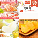 【ふるさと納税】〈定期便〉【7・9・10月 全3回】紀州和歌山産旬のフルーツセット(桃・梨・ひらたねなし柿) ※離島への配送不可