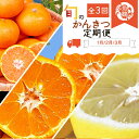 【ふるさと納税】〈定期便〉【1・2・3月 全3回】紀州和歌山産旬のフルーツセット(みかん・不知火・レモン)