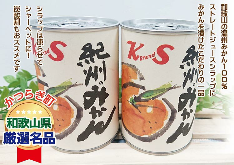 紀州のみかん缶詰(みかん果汁入りシラップ)435g×12缶セット※着日指定不可