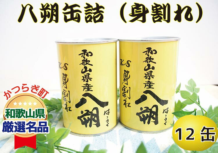 【ふるさと納税】和歌山県産八朔缶詰（身割れ）425g×12缶セット◇