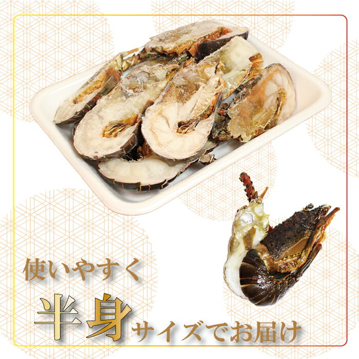 【ふるさと納税】地元産 冷凍伊勢海老カット(サイズ不揃い）約1kg◇