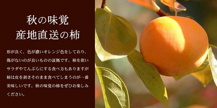 【ふるさと納税】和歌山の種なし柿 【秀品 サイズ・品種おまかせ】約7.5kg 和歌山県産 フルーツ かき 紀伊国屋文左衛門本舗※着日指定不可※2024年9月下旬～11月下旬頃に順次発送予定