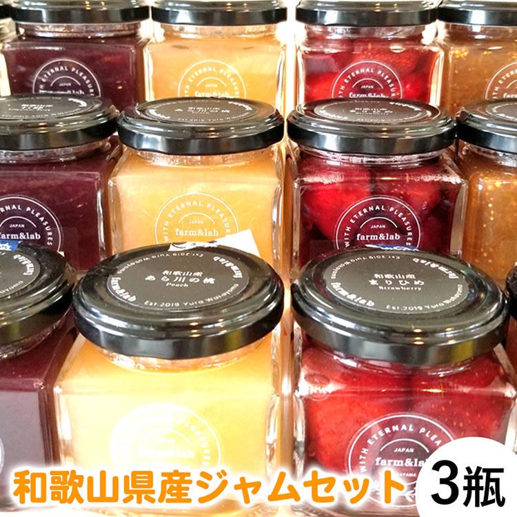【ふるさと納税】色も風味も最高!和歌山県産ジャムセット 旬の3瓶