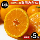 【ふるさと納税】【まごころ手選別】和歌山産 有田みかん 5kg 家庭用 ※2025年11月上旬~2026年1月下旬頃に順次発送予定(4)