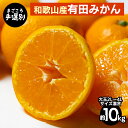 【ふるさと納税】【まごころ手選別】和歌山の有田みかん 10kg 大玉(2L〜4Lサイズ混合) ※2025年11月上旬〜2026年1月下旬頃に順次発送予定