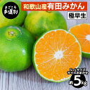 【ふるさと納税】【まごころ手選別】和歌山産 有田みかん(極早生) 5kg (S~Lサイズ)【サイズおまかせ】 ※2025年10月上旬~11月中旬頃に順次発送予定
