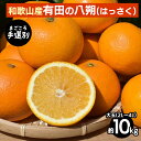 【ふるさと納税】【まごころ手選別】有田のはっさく【八朔】10kg大玉(2L〜4L) ※2026年1月上旬〜3月下旬頃に順次発送予定