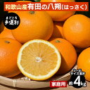 【ふるさと納税】【まごころ手選別】有田の八朔(はっさく)約4kg(S~4Lサイズ混合)家庭用 ※2026年1月上旬~3月下旬頃に順次発送予定