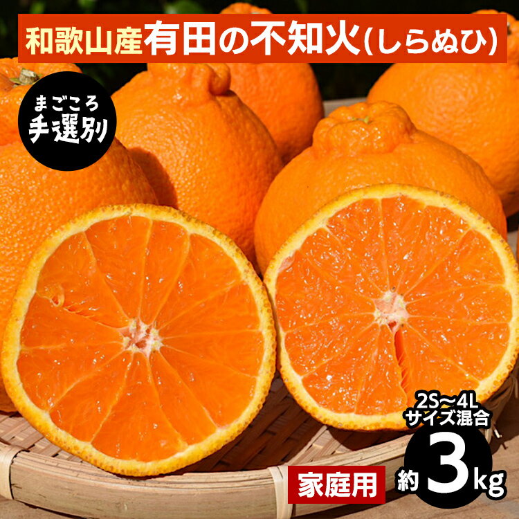 【ふるさと納税】【まごころ手選別】和歌山産 有田の不知火(しらぬひ)約3kg(2S~4Lサイズ混合)【家庭用】 ※2026年2月上旬~4月下旬頃に順次発送予定