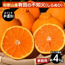 【ふるさと納税】【まごころ手選別】和歌山産 有田の不知火(しらぬひ)約4kg(サイズ混合)【家庭用】 ※2026年2月上旬〜4月下旬頃に順次発送予定
