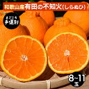 【ふるさと納税】【まごころ手選別】和歌山産 有田の不知火(しらぬひ)8〜11玉 ※2026年2月上旬〜4月下旬頃に順次発送予定