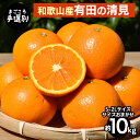 【ふるさと納税】【まごころ手選別】和歌山産 有田の清見 10kg(S~2Lサイズ)サイズおまかせ ※2026年3月上旬~4月下旬頃に順次発送予定