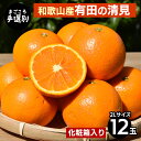 【ふるさと納税】【まごころ手選別】和歌山産 有田の清見 化粧箱 2Lサイズ 12個入り ※2026年3月上旬~4月下旬頃に順次発送予定(4)