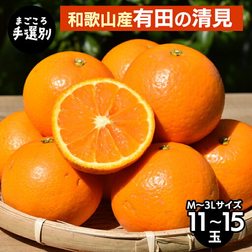 【ふるさと納税】【まごころ手選別】和歌山産 有田の清見 11玉~15玉(M~3Lサイズ) ※2026年3月上旬~4月下旬頃に順次発送予定 【ふるさと納税】【まごころ手選別】和歌山産 有田の清見 11玉~15玉(M~3Lサイズ) ※2026年3月上旬~4月下旬頃に順次発送予定