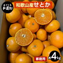 【ふるさと納税】【まごころ手選別】和歌山産 せとか 約4kg 家庭用 ※2026年2月下旬~4月中旬頃より順次発送予定