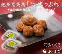 【ふるさと納税】紀州南高梅うす塩つぶれ(塩分約6%)700g×2