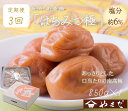 【ふるさと納税】【定期便/3か月ごと/全3回】紀州南高梅はちみつ極塩分約6%(850g)(4)