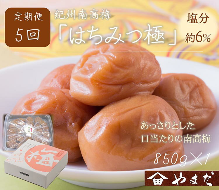【ふるさと納税】【定期便/2か月ごと/全5回】紀州南高梅はちみつ極塩分約6%(850g)