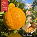【ふるさと納税】先行受付 不知火 希少な樹上完熟! 秀品 大玉 6個入|柑橘 しらぬい フルーツ 果物 産地直送 先行予約 美浜町 ※2026年2月下旬〜3月下...