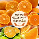 【ふるさと納税】【定期便】〈3・4・9・11月 全4回〉わかやま旬のカンキツ定期便【L】全4回(青切りみかん・完熟みかん・春の柑橘・初夏の柑橘)|フルーツ ふるーつ 果物 くだもの 詰め合わせ 果物定期便 みかん 国産 産地直送 美浜町※北海道・沖縄・離島への配送不可