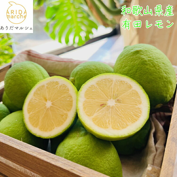 【ふるさと納税】【先行予約】【国産】選べる内容量 農家直送! 有田レモン 1kg 2kg ※沖縄・離島への配送不可 ※2025年9月下旬~2026年2月下旬頃に順次発送予定