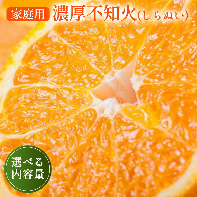 【ふるさと納税】【先行予約】\選べる内容量/有田育ちの濃厚 不知火 (デコポン と同品種)(訳あり 家庭用)◇