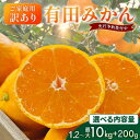 【ふるさと納税】【先行予約】【数量限定】濃厚有田みかん(ご家庭用)選べる内容量 │ みかん 訳あり 柑橘 フルーツ 果物 選べる ミカン 1.2kg 3.1kg...