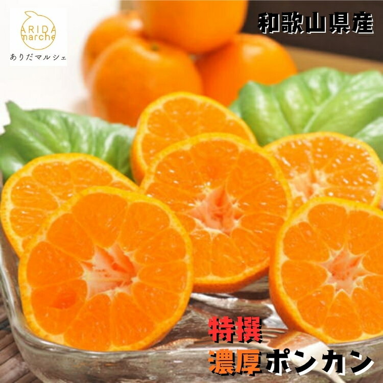 [選べる内容量][特選]濃厚 ポンカン | みかん 蜜柑 柑橘 果物 フルーツ くだもの 果実 国産 和歌山県 晩柑