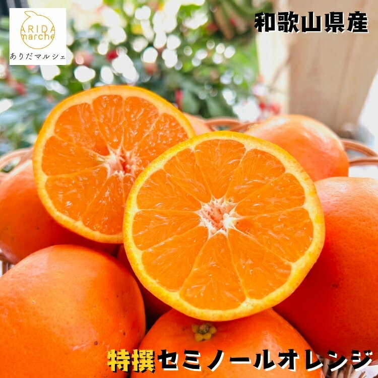 [選べる内容量][特撰]セミノール | みかん 高級 くだもの 晩柑 柑橘 和歌山