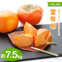 【ふるさと納税】【先行予約】【秋の美味】【九度山ブランド】柿のふるさと九度山の濃厚富有柿 秀品 L~3Lサイズ 約7.5kg入り ※2025年11月中旬~12月上旬頃に順次発送予定【GO-08】