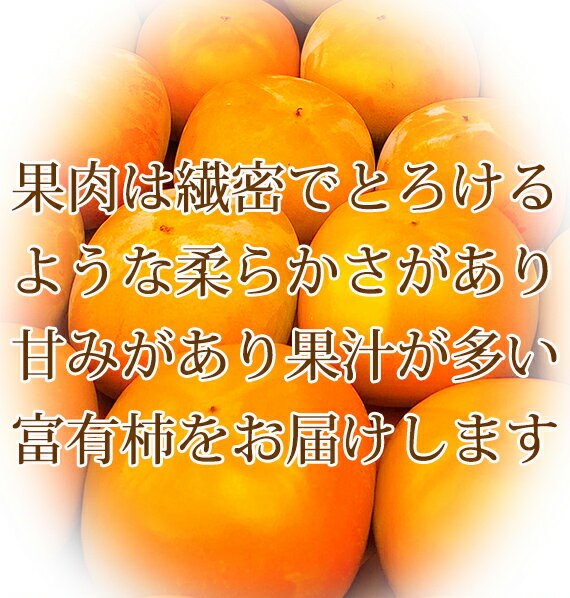 2025年産　予約販売 11月中旬ごろより発送予定　クルミの生産量日本一　長野産　天然姫クルミ（くるみ）　約1k