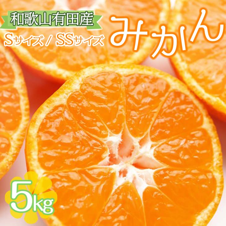 【ふるさと納税】【ご家庭用】和歌山有田みかん約5kg(SS、Sサイズ) ◇| みかん ミカン mikan 有田みか...