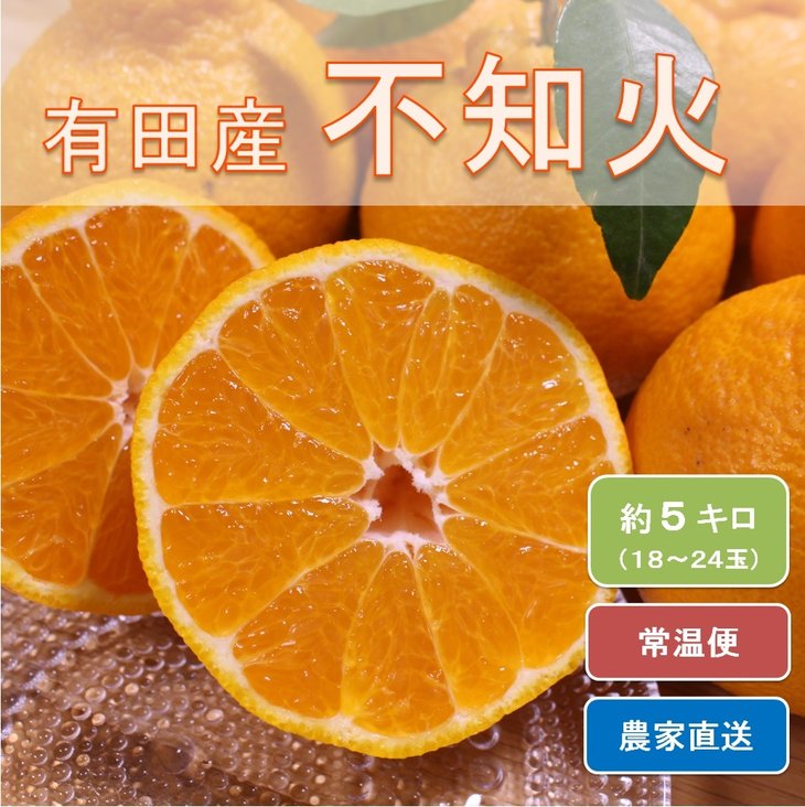 和歌山県有田産 不知火 約5kg(18〜24玉)ひとつひとつ手選別で厳選!生産者から直送 ※2026年2月中旬頃より順次発送予定