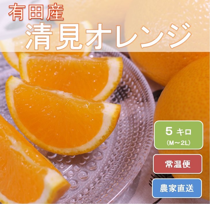 和歌山県有田産 完熟清見オレンジ 5kg(M〜2Lサイズおまかせ)ひとつひとつ丁寧に厳選!生産者から直送 ※2026年3月中旬頃より順次発送予定