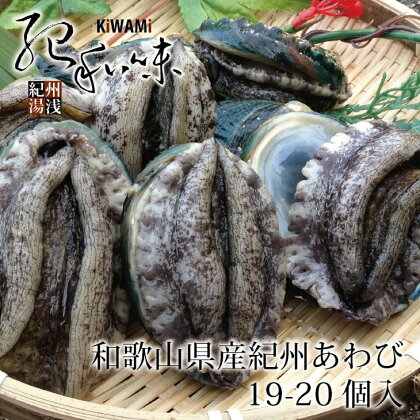 やわコリ食感紀州活アワビ 【19-20個入】