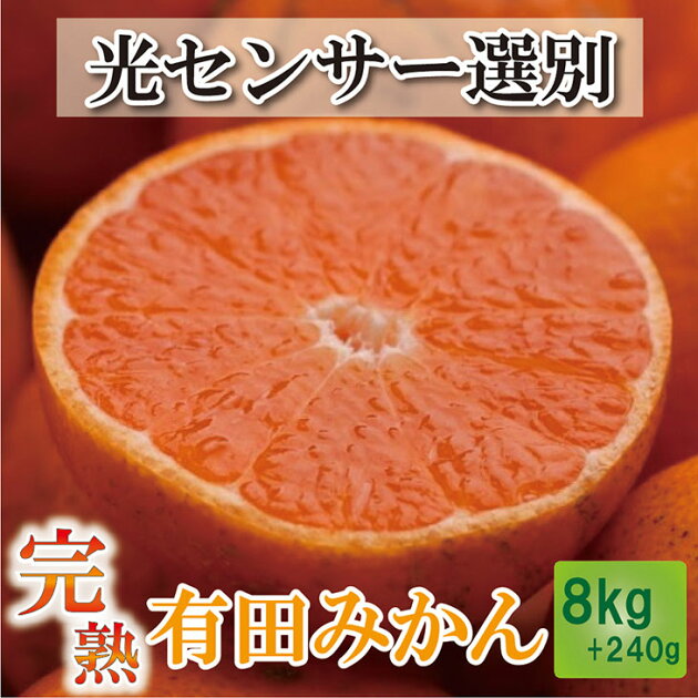 みかん・柑橘類おすすめ8選！通販の口コミ人気・評判まとめ【2022年版】