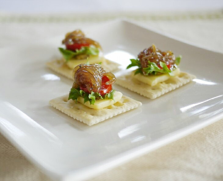 【ふるさと納税】ふるさと漬生しらすセット（づけなましらす）5個｜しらす 魚 鮮魚 減塩 採れたて 国産 お米 ご飯 ごはん 丼 ※北海道・沖縄・離島へのお届け不可 ※年末年始のお届け不可