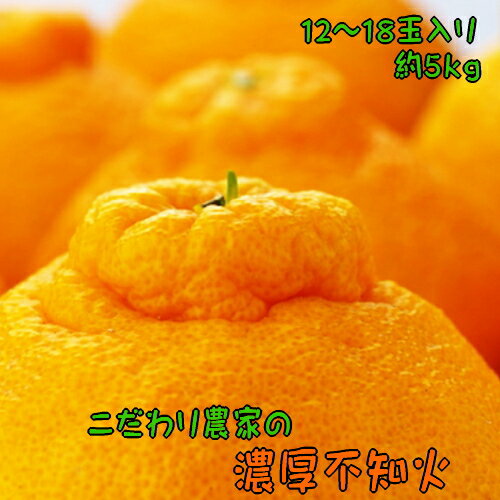 [先行予約]こだわり農家の濃厚不知火(デコポンと同品種) 12〜18玉(約5kg)※2026年2月上旬〜3月下旬頃に順次発送予定 ※北海道・沖縄・離島への配送不可