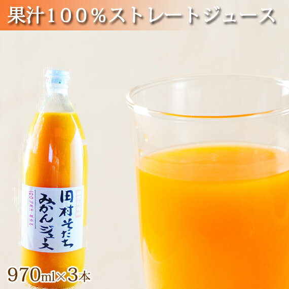 【ふるさと納税】果汁100%田村そだちみかんジュース　970